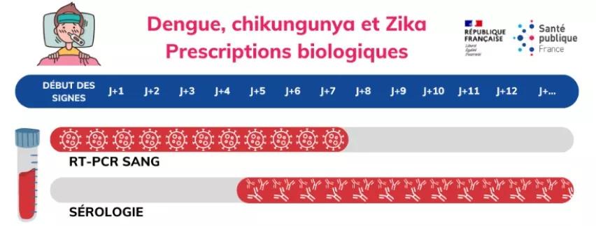 Dengue, chikungunya et zika : prescriptions biologiques. Voir description détaillée ci-après